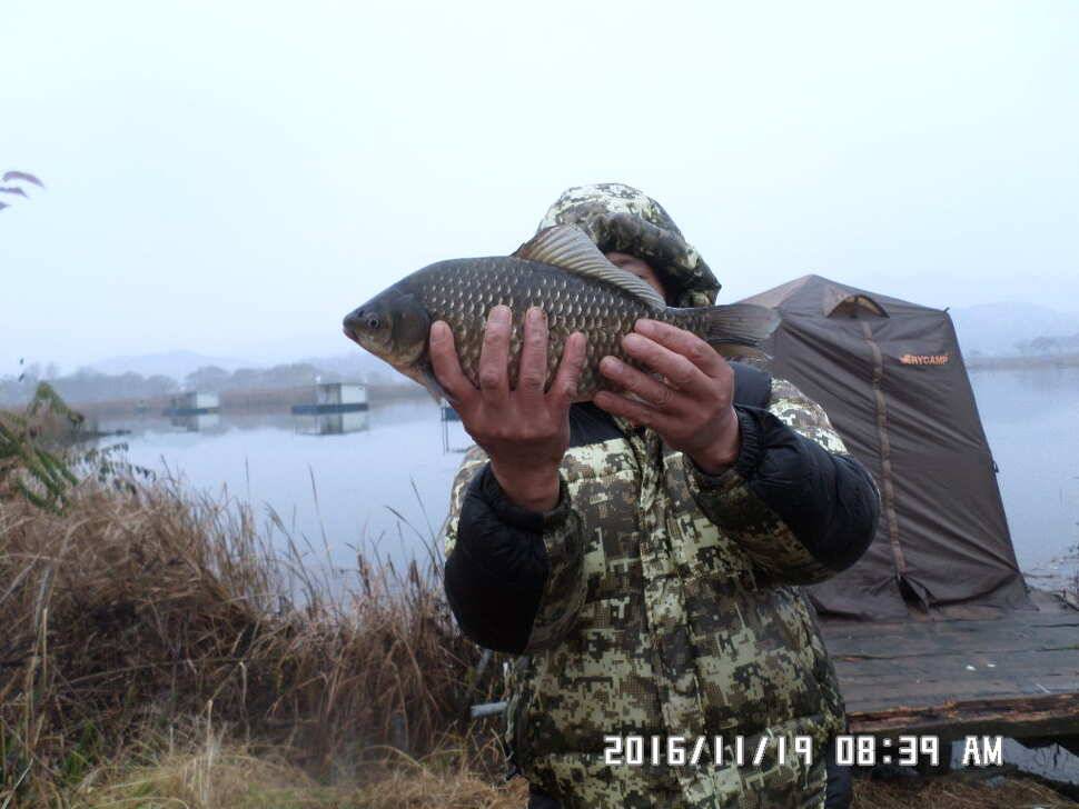 충주 탄금호 낚시조황 (조황조행기 - 낚시점조황)