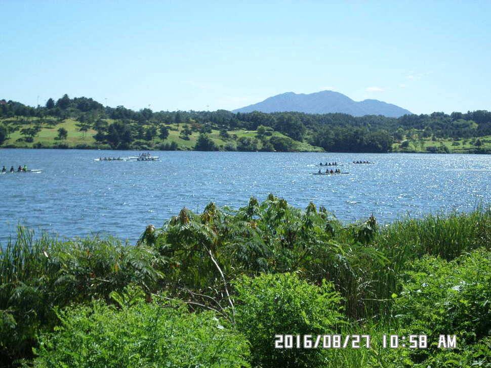 충주 탄금호 낚시조황 (조황조행기 - 낚시점조황)