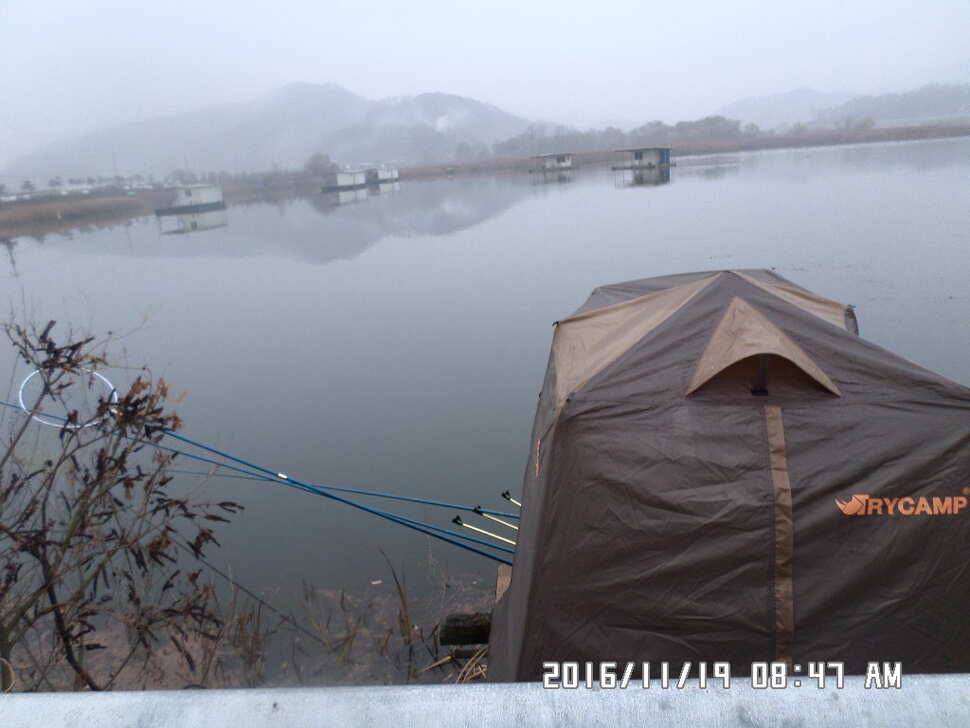 충주 탄금호 낚시조황 (조황조행기 - 낚시점조황)