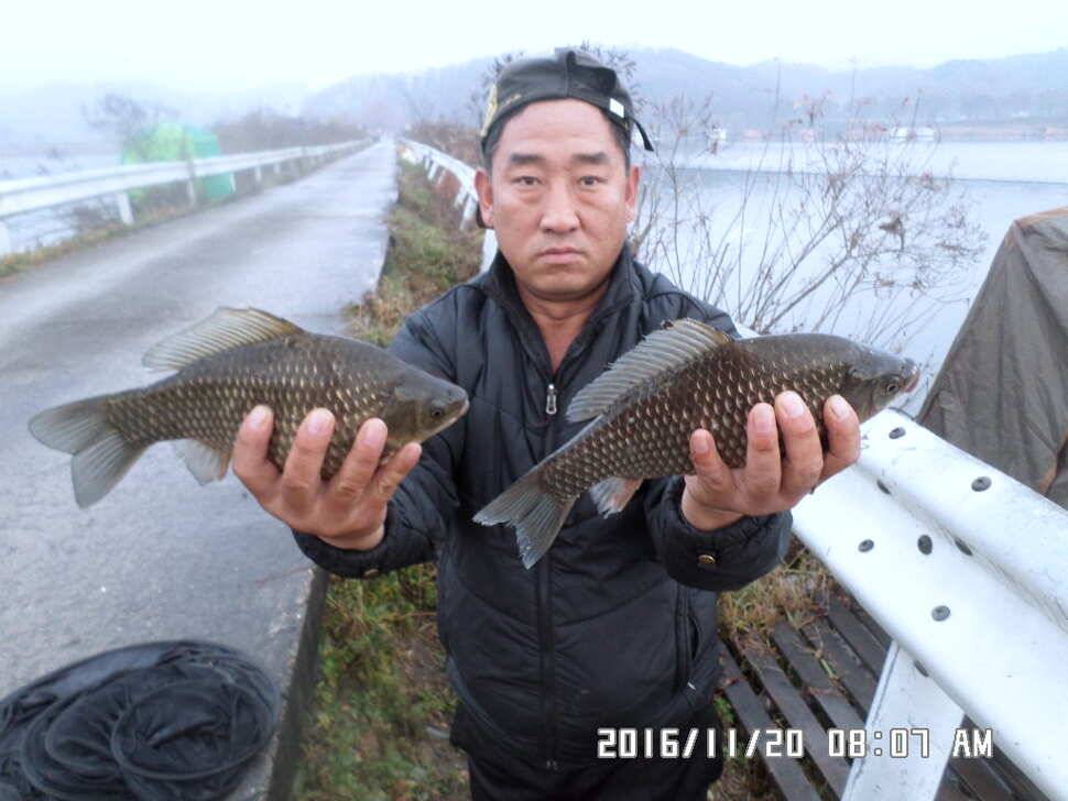 충주 탄금호 낚시조황 (조황조행기 - 낚시점조황)