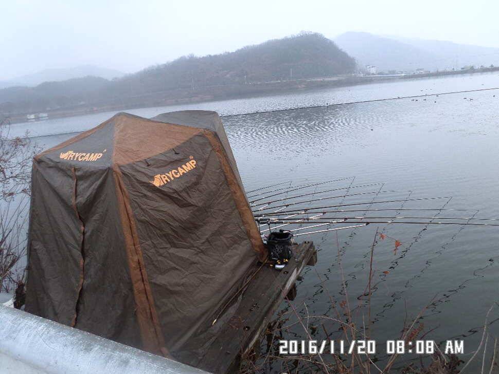 충주 탄금호 낚시조황 (조황조행기 - 낚시점조황)