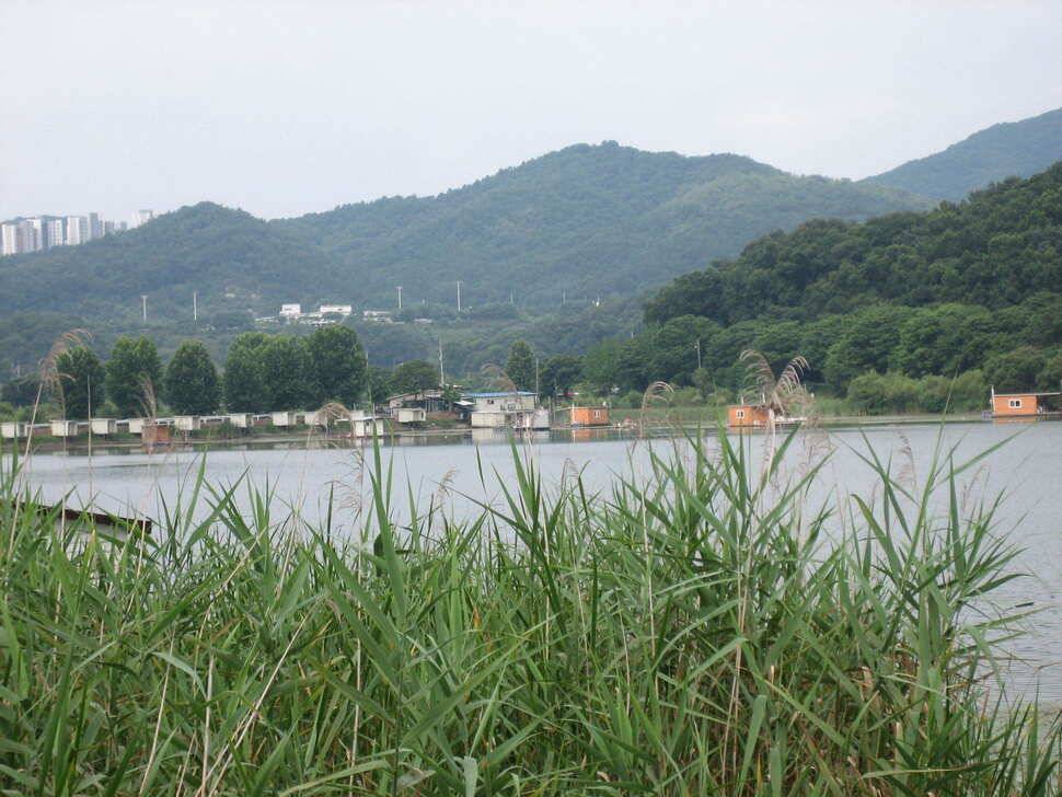 충주 탄금호 낚시조황 (조황조행기 - 낚시점조황)
