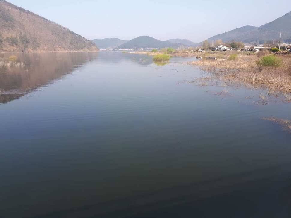 창녕 대물터 조황 (조황조행기 - 낚시점조황)