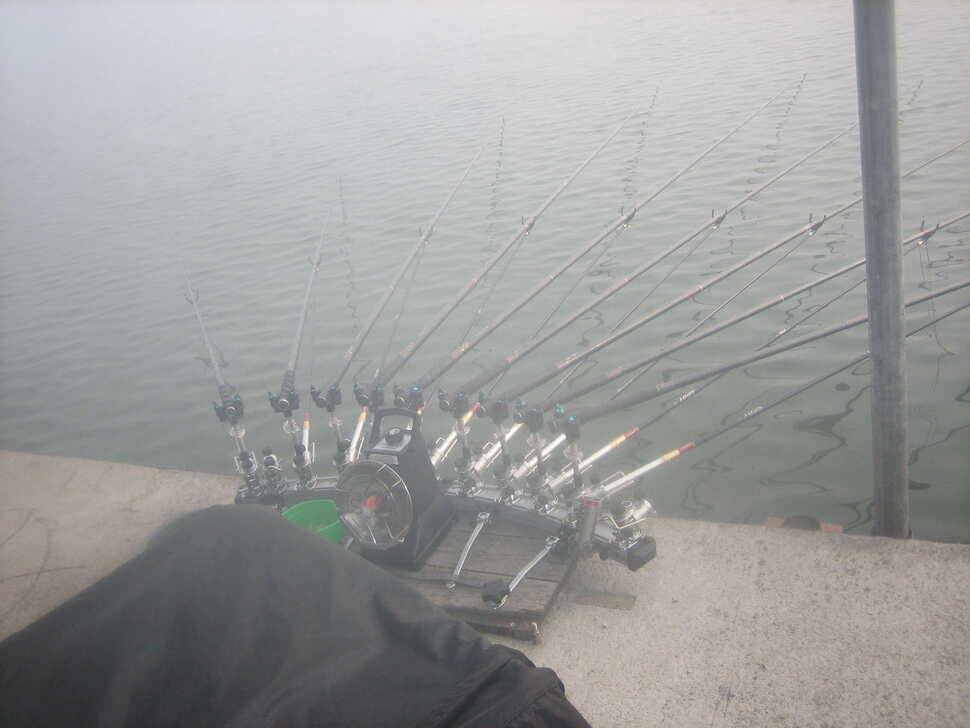 충주탄금호낚시새해 첫4짜 대물조황41cm (조황조행기 - 낚시점조황)