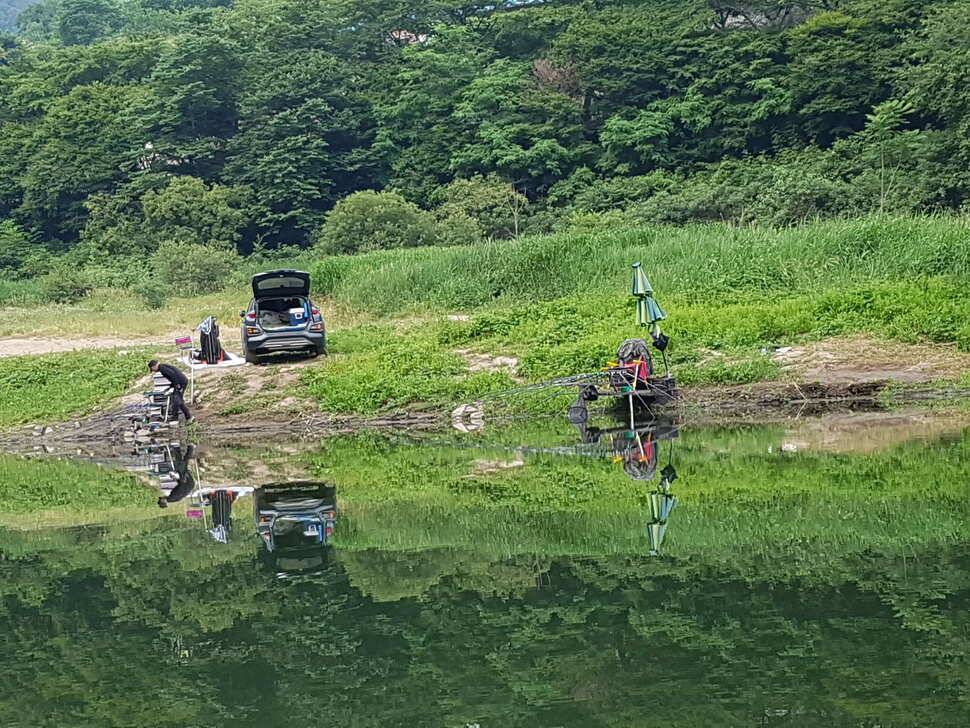 단양호 조황입니다 (조황조행기 - 낚시점조황)