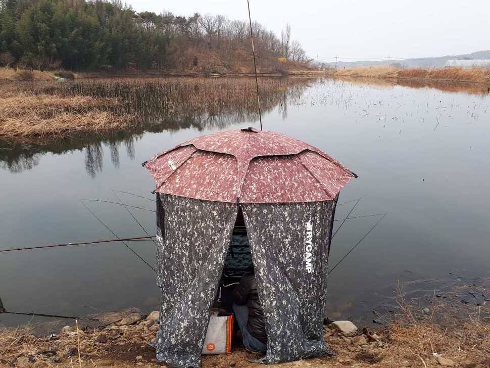 창녕권 붕어조황 (조황조행기 - 낚시점조황)