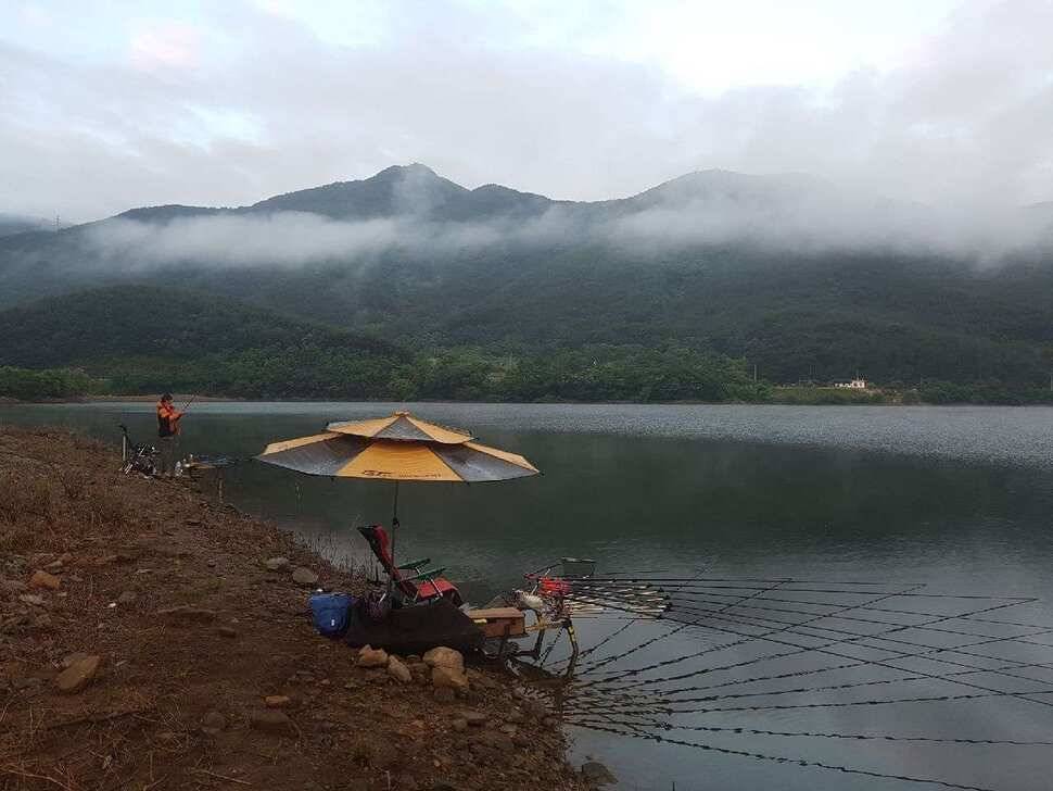 창녕권 저수지정보 (조황조행기 - 낚시점조황)