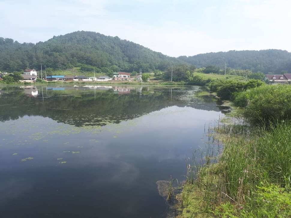 창녕권 저수지 탐사 (조황조행기 - 낚시점조황)
