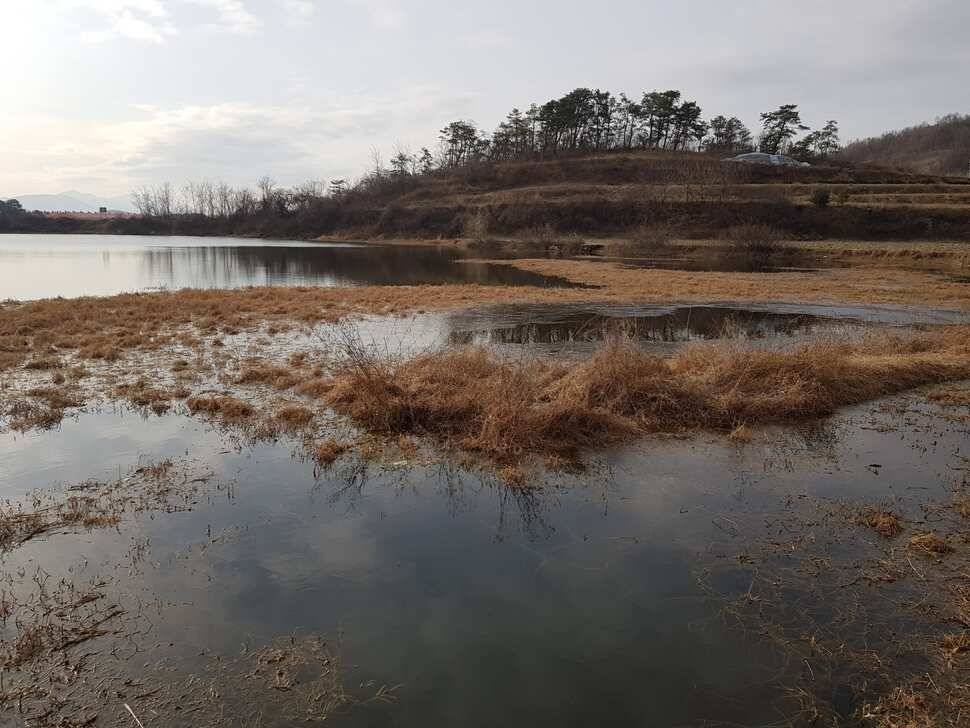 창녕 시즌 시작 (조황조행기 - 낚시점조황)