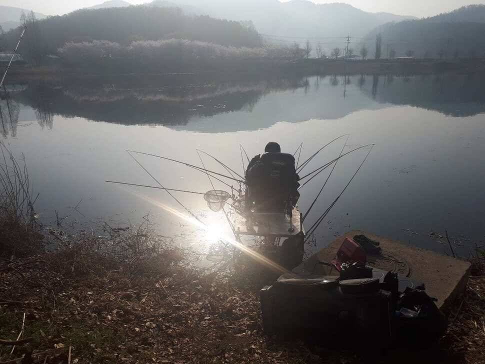 창녕 대물터 조황 (조황조행기 - 낚시점조황)