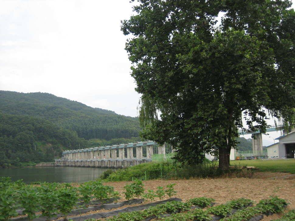 충주 탄금호 낚시조황 (조황조행기 - 낚시점조황)