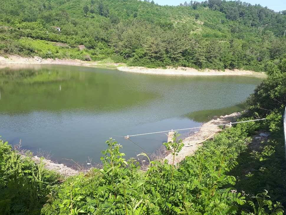 창녕권 토종터 (조황조행기 - 낚시점조황)