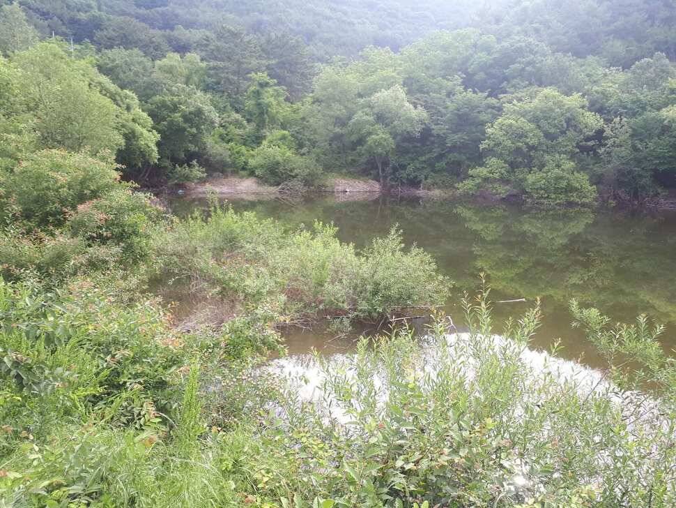 창녕권 저수지 탐사 (조황조행기 - 낚시점조황)