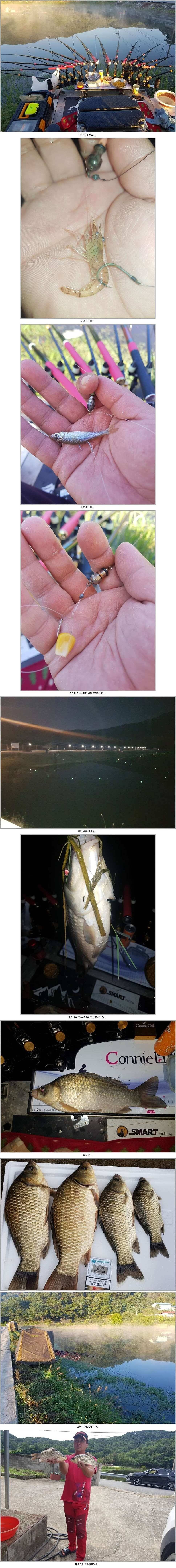 경북권구미권 10월1주차 조황정보 (조황조행기 - 낚시점조황)