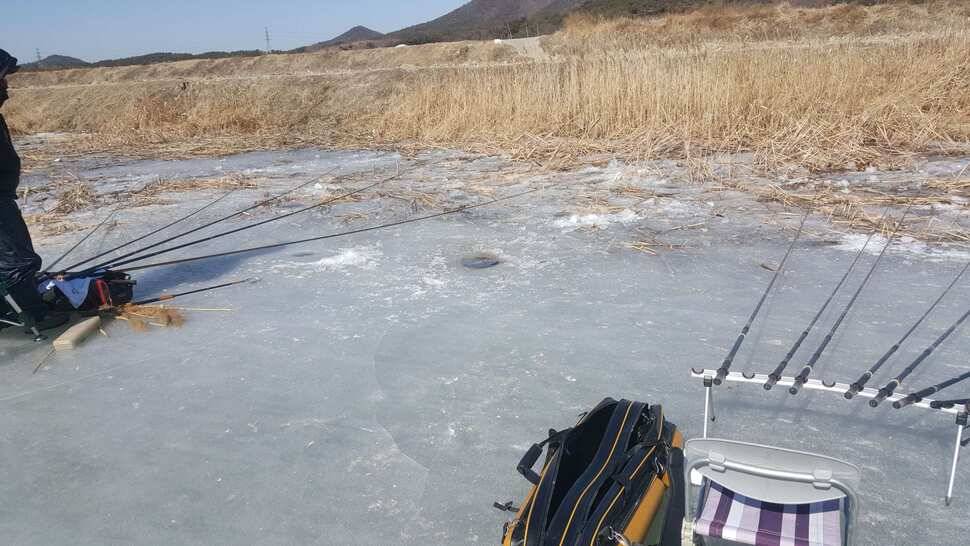 서산 얼음낚시 조황정보 (조황조행기 - 낚시점조황)