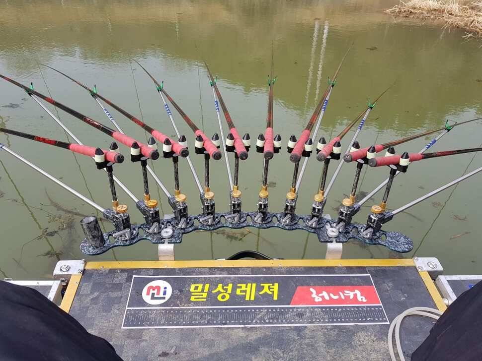 창녕권 485484742 호조황 (조황조행기 - 낚시점조황)