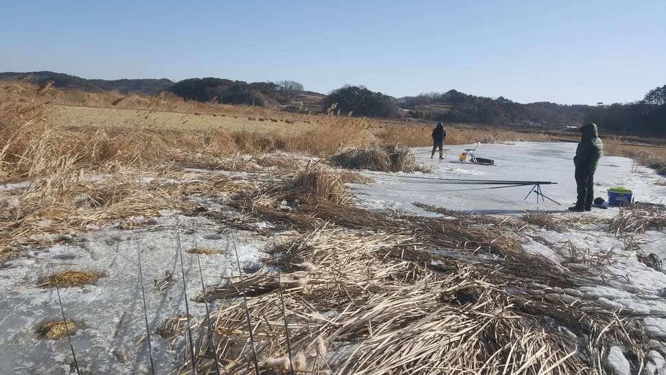 서산 얼음낚시 조황정보 (조황조행기 - 낚시점조황)