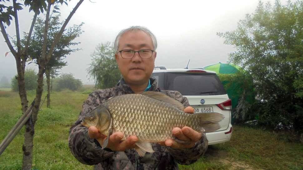 이박사낚시 조황정보 (조황조행기 - 낚시점조황)
