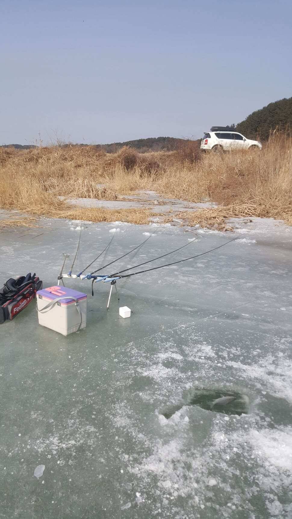 서산 얼음낚시 조황정보 (조황조행기 - 낚시점조황)