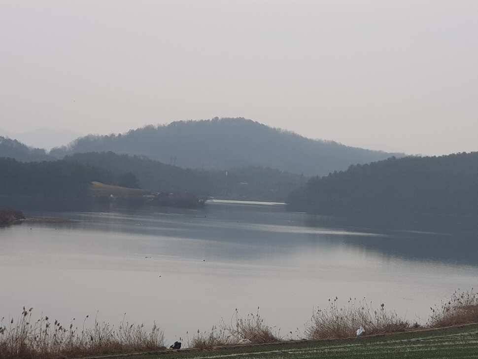 창녕권 조황 살아 나고 있습니다 (조황조행기 - 낚시점조황)