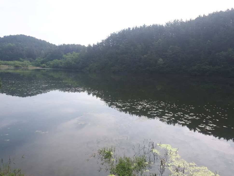 창녕권 저수지 탐사 (조황조행기 - 낚시점조황)