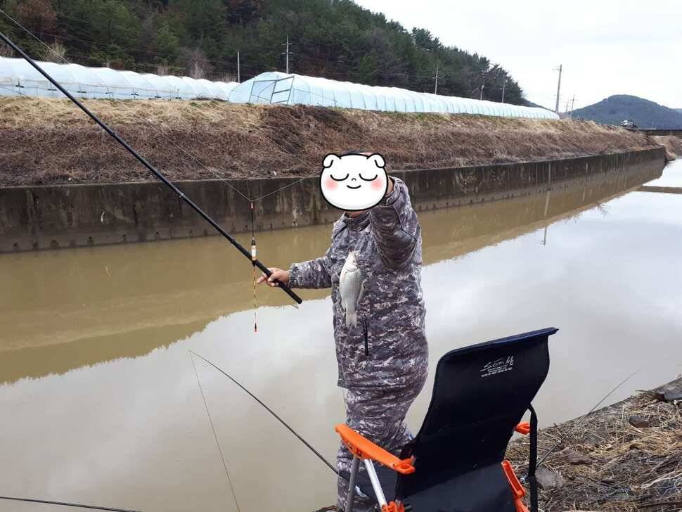 창녕권 붕어 (조황조행기 - 낚시점조황)