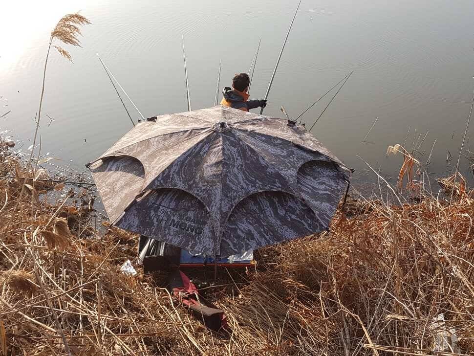 창녕권 조황 살아 나고 있습니다 (조황조행기 - 낚시점조황)