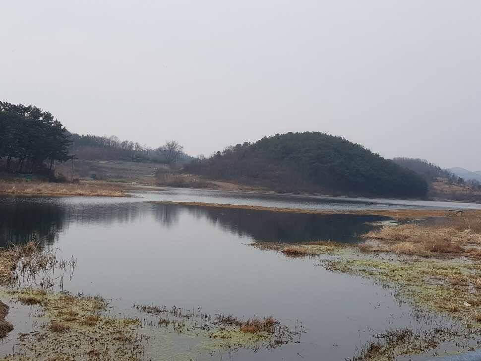 창녕권 조황 살아 나고 있습니다 (조황조행기 - 낚시점조황)