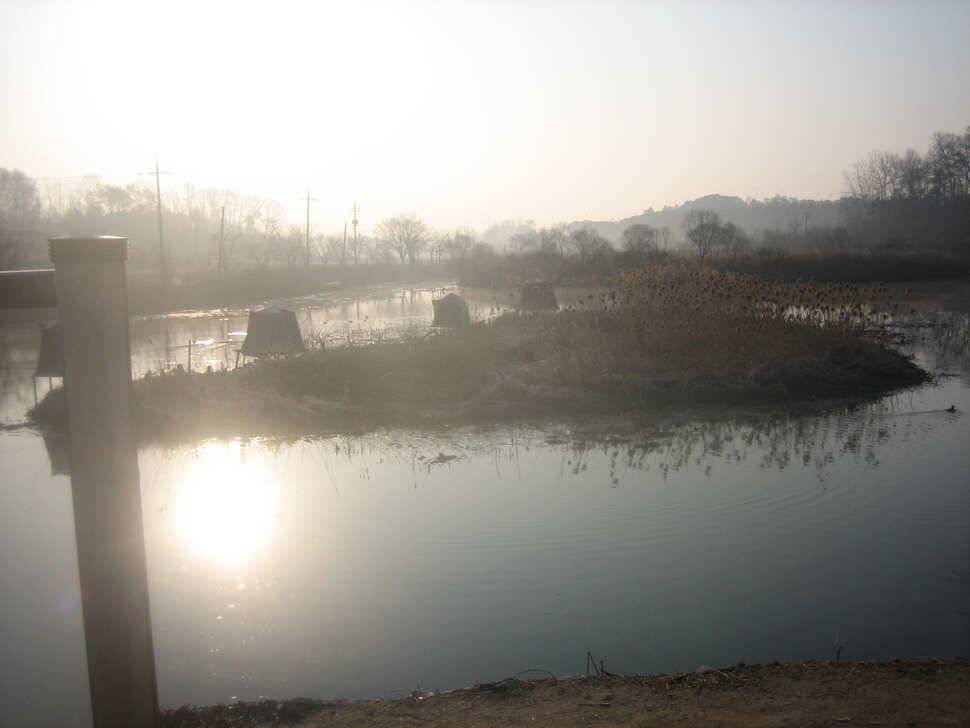 jum_johwang_32252_024929_72432.jpg