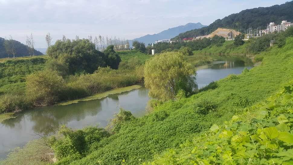 경북구미산호낚시조황소식 (조황조행기 - 낚시점조황)