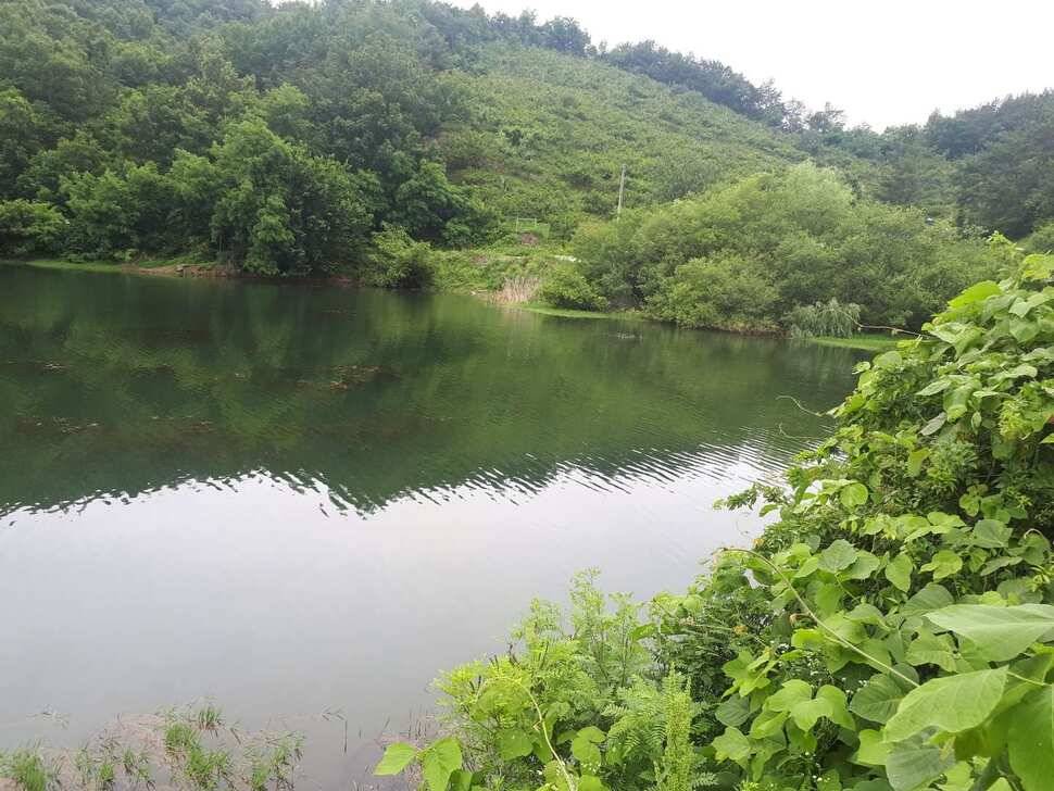 창녕권 저수지정보 (조황조행기 - 낚시점조황)