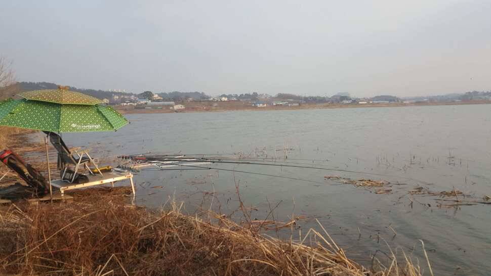 서산저수지 수로권 월척조황 (조황조행기 - 낚시점조황)