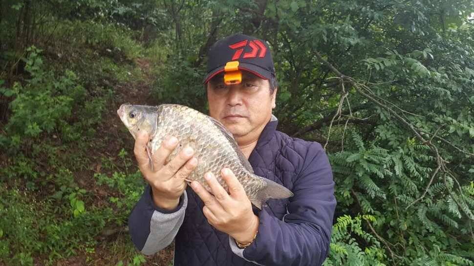 창녕권 살아 나는 조황 (조황조행기 - 낚시점조황)