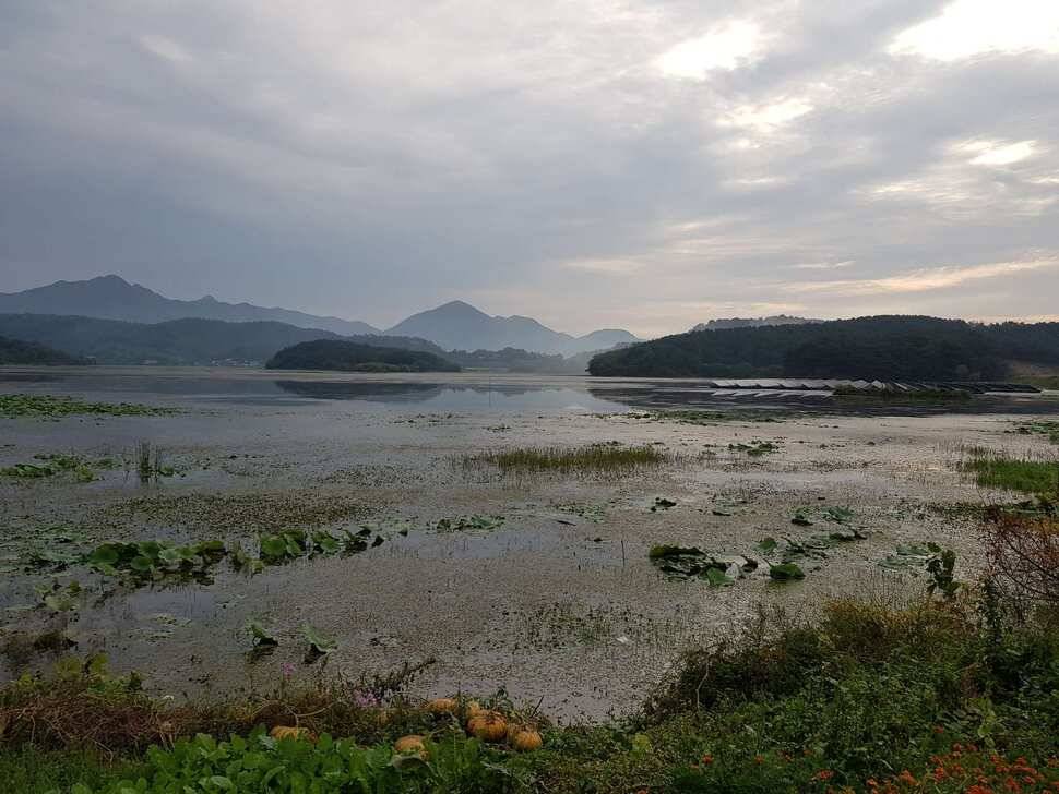 jum_johwang_43715_094318_53096.jpg