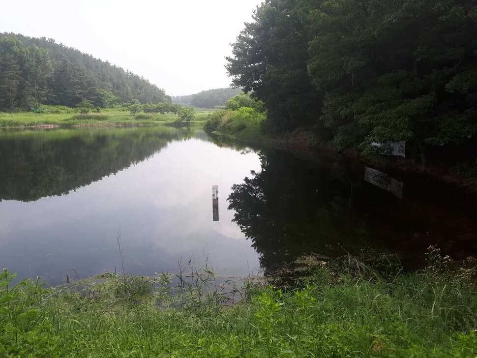 창녕권 저수지 탐사 (조황조행기 - 낚시점조황)