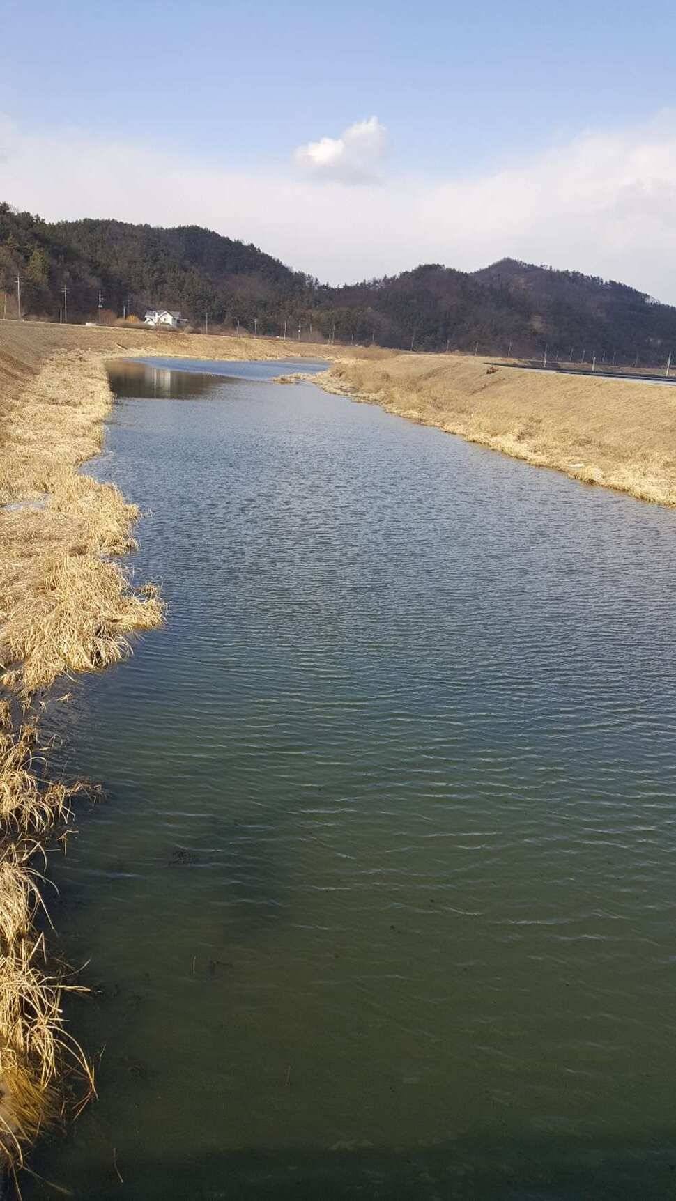 창녕권 물낚시 가능 (조황조행기 - 낚시점조황)
