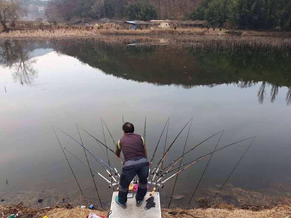 창녕권 붕어조황 (조황조행기 - 낚시점조황)