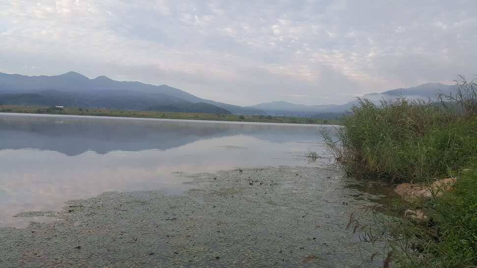경북구미산호낚시조황소식 (조황조행기 - 낚시점조황)