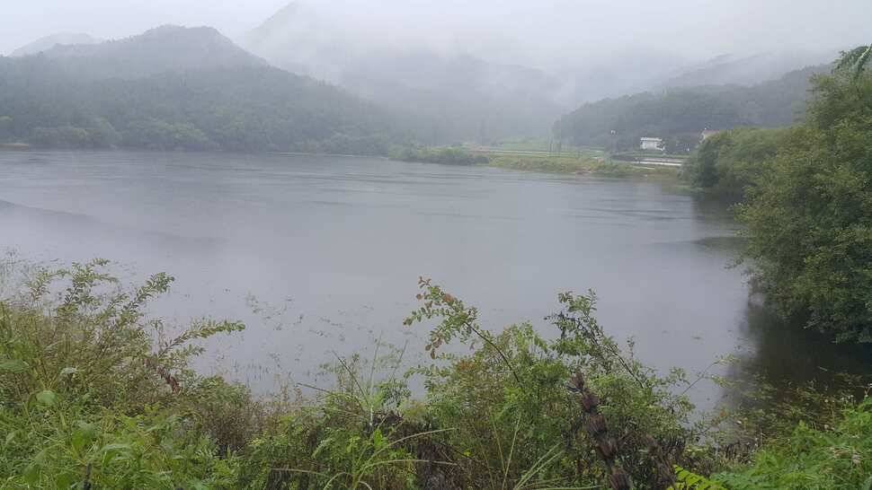 경북구미산호낚시조황소식 (조황조행기 - 낚시점조황)