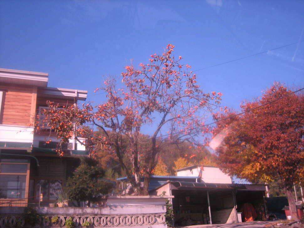 jum_johwang_51e40_061302_24016.jpg