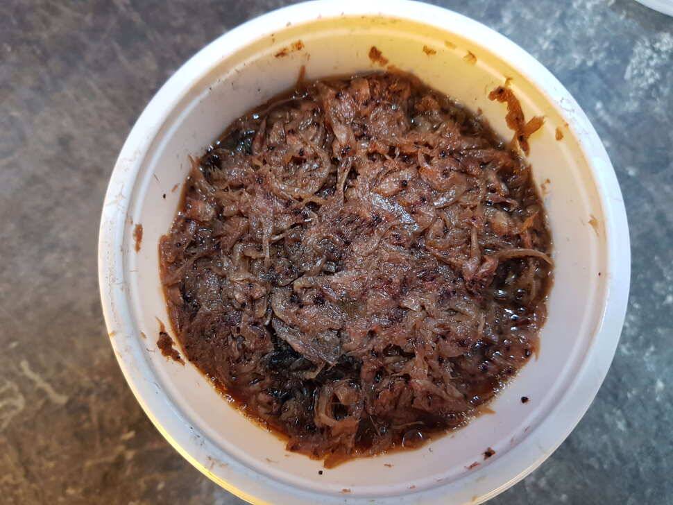 음성 사정지구안지 빙어 (조황조행기 - 낚시점조황)
