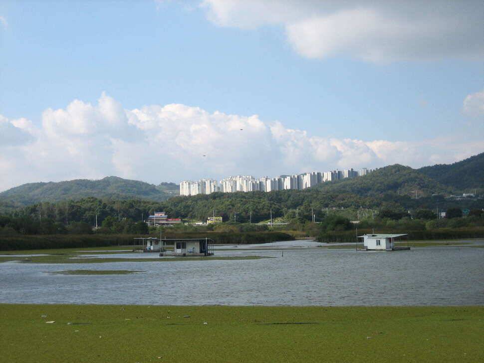 jum_johwang_56779_120540_44066.jpg