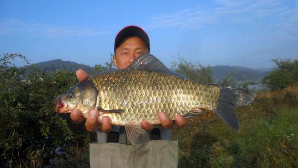 이박사낚시 조황정보 (조황조행기 - 낚시점조황)