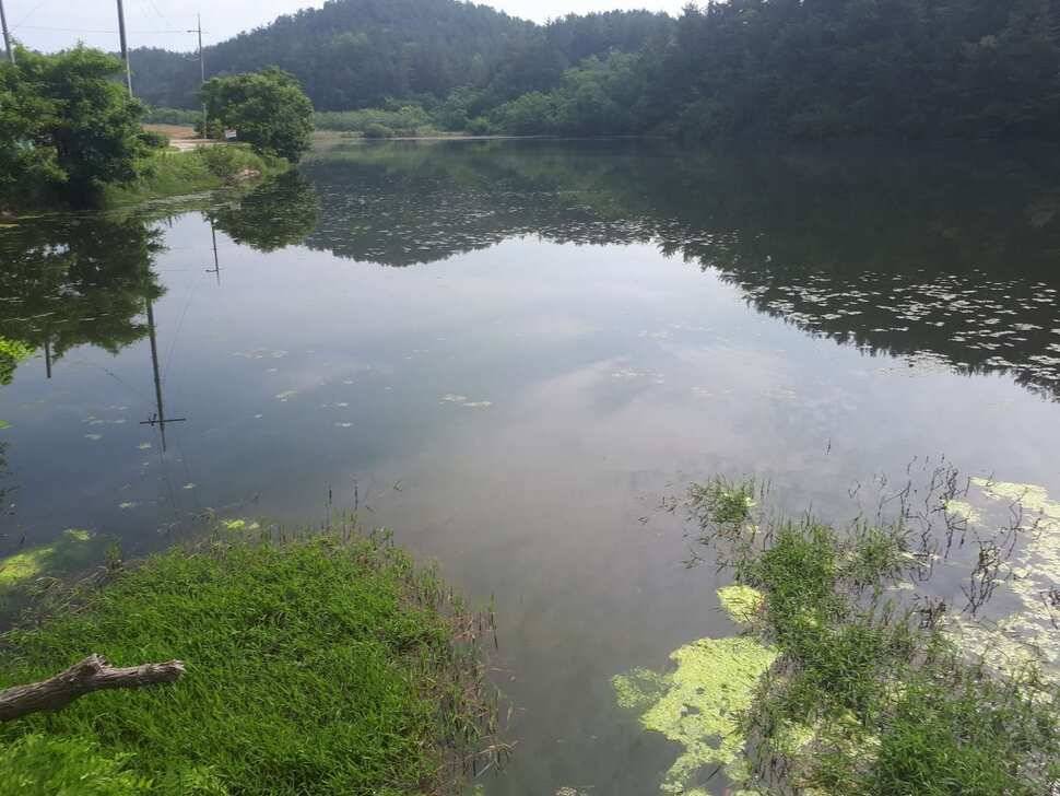 창녕권 저수지 탐사 (조황조행기 - 낚시점조황)