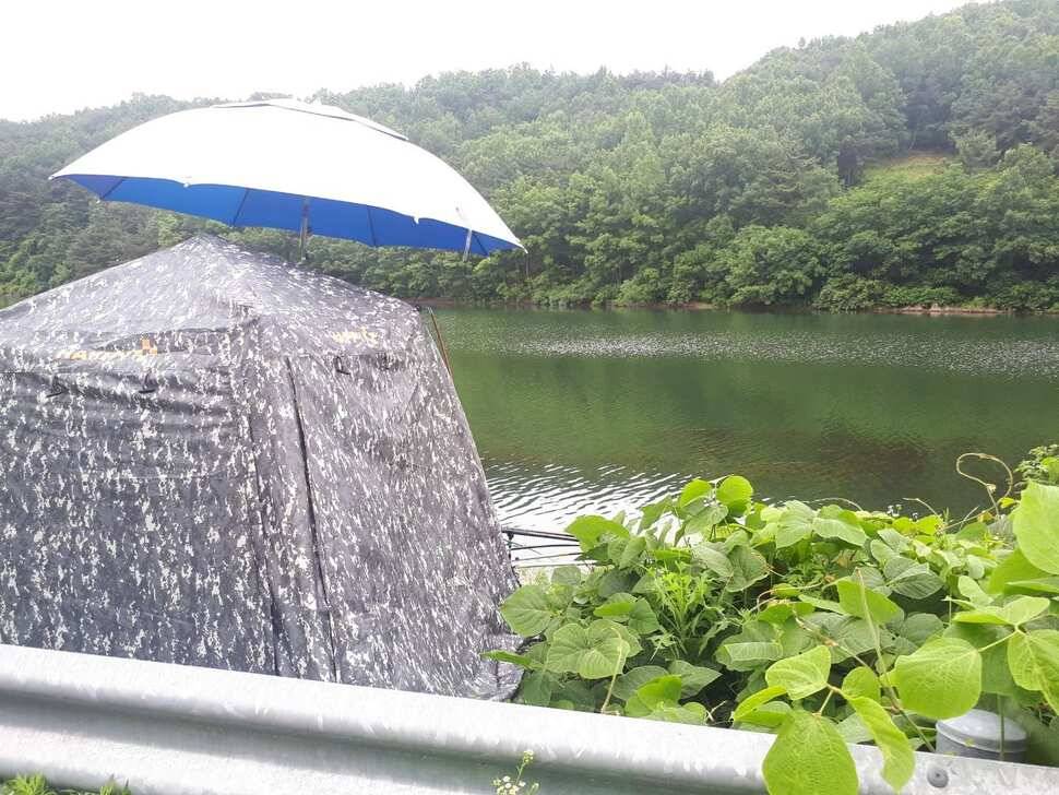 창녕권 저수지정보 (조황조행기 - 낚시점조황)