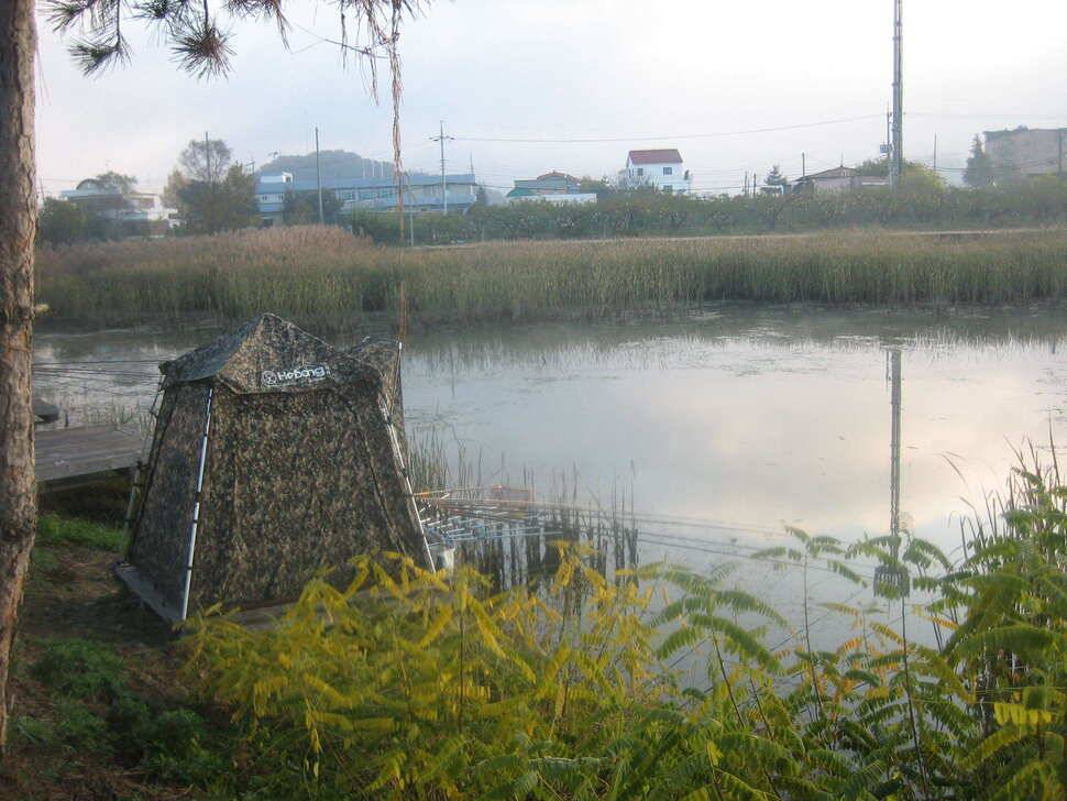 jum_johwang_5e045_061040_30637.jpg
