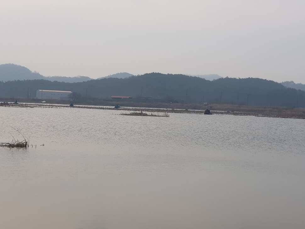 창녕권 조황 살아 나고 있습니다 (조황조행기 - 낚시점조황)