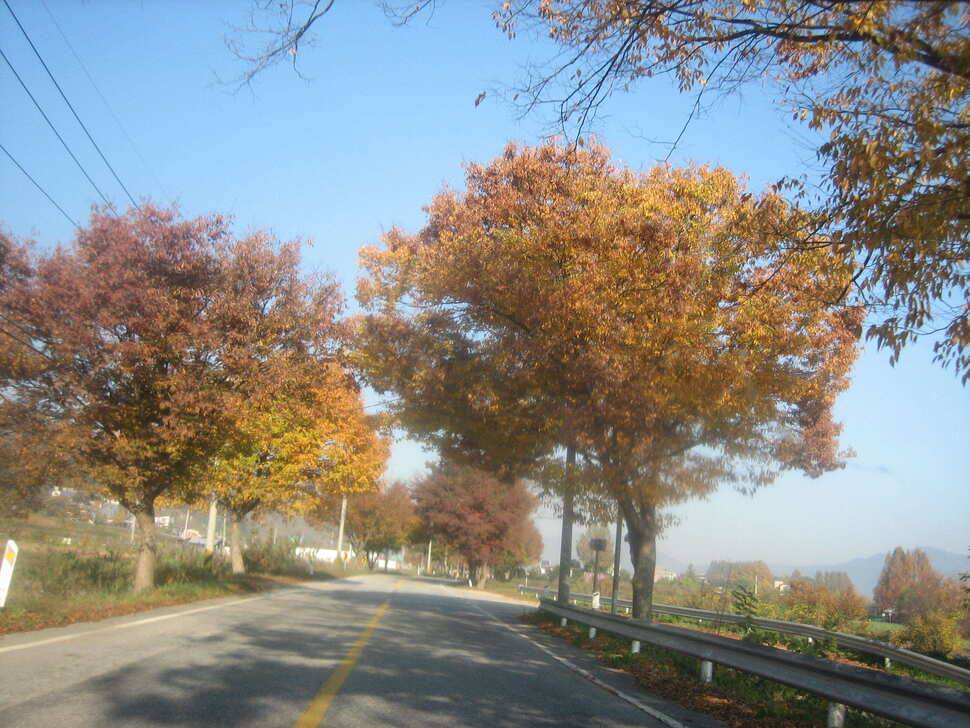 jum_johwang_5f1e8_061416_17954.jpg