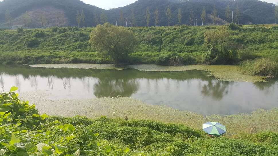 경북구미산호낚시조황소식 (조황조행기 - 낚시점조황)