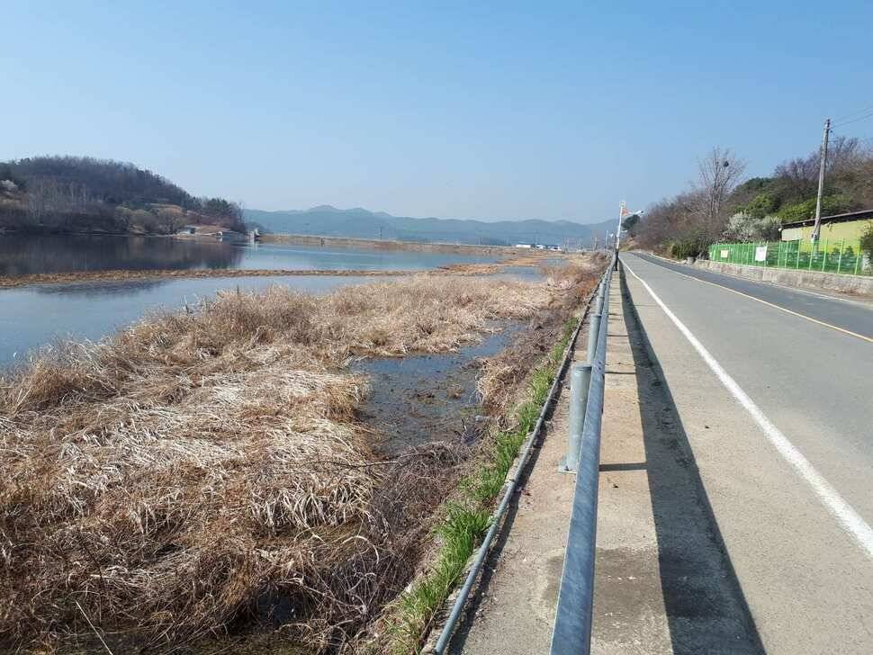 창녕권 붕어 (조황조행기 - 낚시점조황)